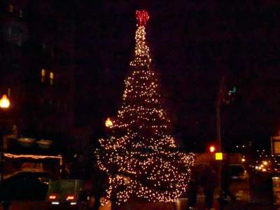 North End Christmas Tree