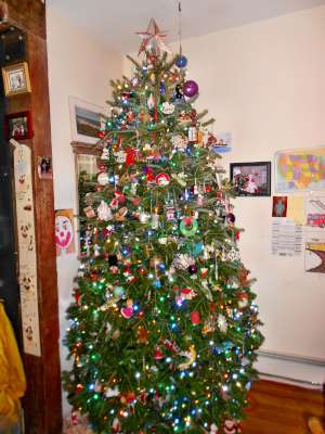 I Save the Best For Last, This is My Tree