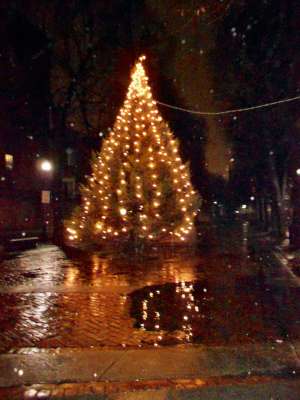 The Christmas Tree in The Prado