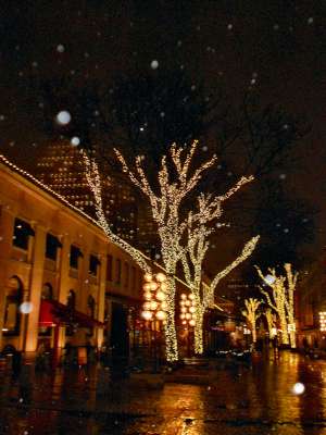 Another Shot of The Blinky Light Trees